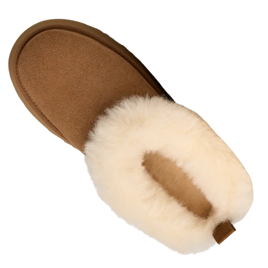 UGG Plateau Slipper Tazelle CHE