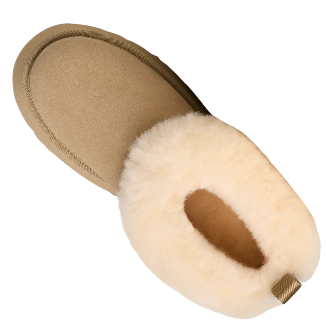 UGG Plateau Slipper Tazelle MDSD